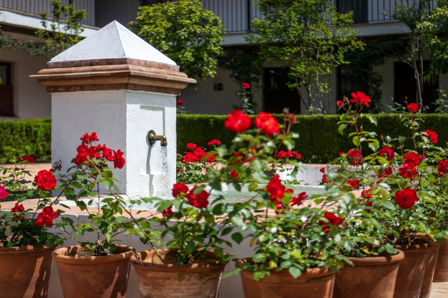 Magno Apartments San Laureano - Private Parking Included Sevilla Dış mekan fotoğraf